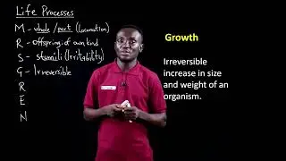 Lesson 7 Diversity of living and Non-living Things (Cont&rsquo;d) (Life Processes)