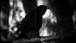 10. A FIELD OF THE DEAD (demo)