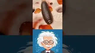 Physics Master ⚡ | Mind-Blowing Science & Technology Facts! 😱 | #Shorts #physics #Technology