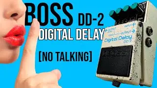 Boss DD2 Digital Delay Japan | Demo [NO TALKING]