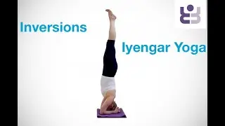 Iyengar Inversion Sequence - For more experienced yoga students
