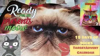 TARGET CATS 15 DAYS OF SOCKS~CHRISTMAS ADVENT CALENDAR~UNBOXING