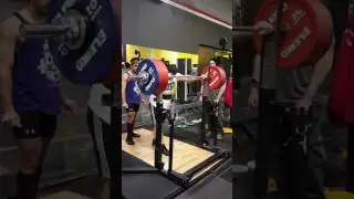 Matt 372.5kg squat