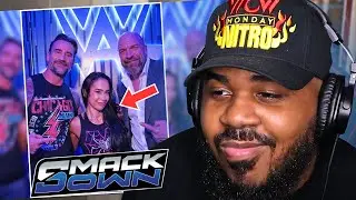 AJ Lee Returns to the WWE