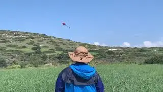 Henseleit TDF 7 Cell, Heli Jive 120HV