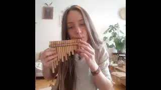 Rondador pan flute B minor - high quality cane