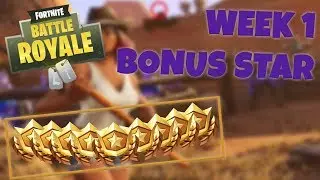 WEEK 1 BONUS STAR LOCATION &ndash; SEASON 6 | Fortnite Battle Royale