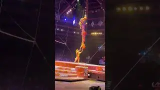 Tumble Monkeys Lion King Show #disney #disneylive #disneyworld #lionking