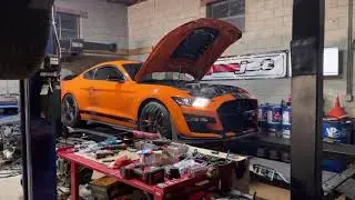 2020 Shelby GT500 American racing headers dyno pull