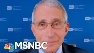 'The System Works': Fauci Assures Trials Will Find A Safe Coronavirus Vaccine | MSNBC