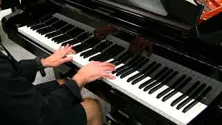 Schimmel Classic 189 Grand Piano Demo Video