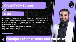 In a plant, red fruit (R) is dominant over yellow fruit (r) and tallness (T) is dominant over sho...