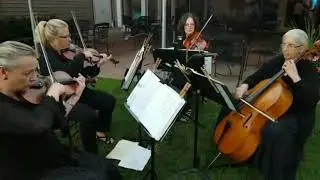 LI STRING QUARTET LONG ISLAND STRING TRIO STAN WIEST MUSIC