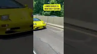 DIABLO SV MONTEREY EDITION IN THE WILD! #shorts #lamborghini