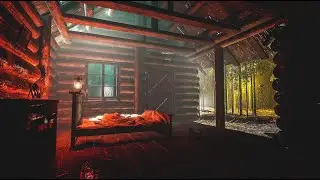 Enchanted Forest Rain: Night Time Woods Sounds for Sleep, Study & Deep Relaxation