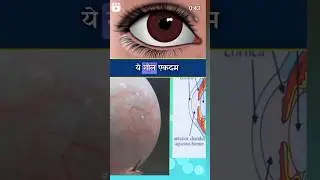 आँख गोल क्यों हैं#shortvideos #trending #motivation #facts