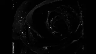 George Nicolescu - Celei care pleaca (HD)