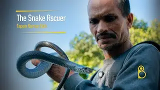 The Snake Rescuer| Tapan Kumar Deb| The Bindu Bisarga