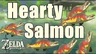 Hearty Salmon Zelda Breath of The Wild