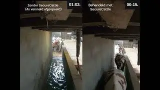 SecureCattle voetbad