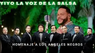 YIYO SARANTE, HOMENAJE A LOS ÁNGELES NEGROS, *2019*🎧