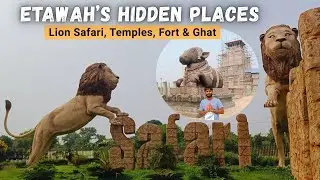 Etawah Lion Safari 🦁 | Kedareshwar Mahadev Temple | Complete Etawah Travel Vlog