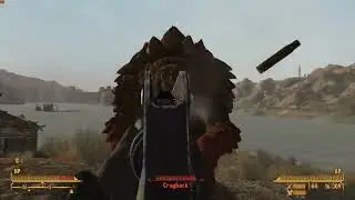 FNV: Mutant Turtle of Indeterminate Age