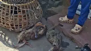ব্যাবসার যে পরিস্থিতি... 
