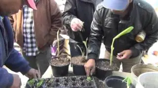 Veterans Healing Garden HD