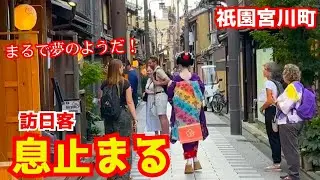 祇園の舞妓さんが美しすぎる！京都自慢の観光大使にバッタリ出くわした訪日客が嬉しさのあまり我を忘れる！