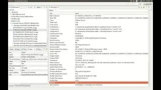 Working with Metadata