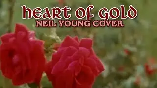 Heart of Gold - Honey Gentry 🕊️