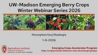 Honeyberry Production