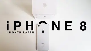 iPhone 8 impressions - one month later