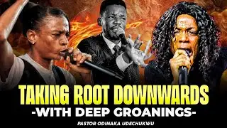 Watch Apostle Edu's Sister in this groundbreaking prayer session: Take your roots deep in God