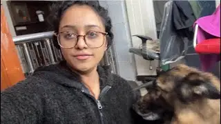 I Tried to Stay Strong For My Dog 🐕 🥲&hellip; 💔| Poco&rsquo;s Tumour Scare