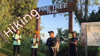 Pine Tree Twin Peak Hill | Dji Mavic | Hiking | Bukit Fraser