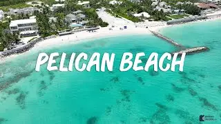 Pelican Beach, Providenciales, Turks and Caicos Islands (Soft Sand, Clear Water, and Snorkeling)