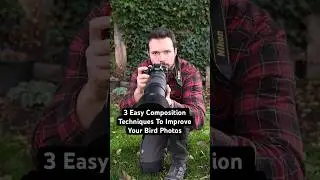 3 Easy Composition Techniques To Improve Your Bird Photography! #birdphotography #birds #birding