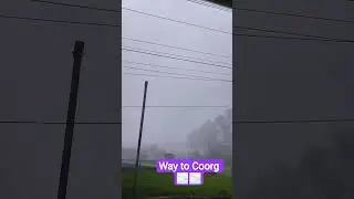 #shortsvideo #shorts #youtubeshorts #coorg #misty #videos #vibes #travel#song #entertainment 🌫️🌫️🌫️