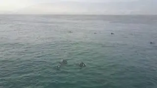 Dolphin Coast - Ballito - DJI Mavic Pro