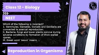 Which of the following is incorrect?  1. Gemmules, Gametes, Gonads and Genitalia are connected to...