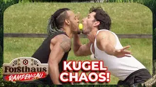 Teamwork-Challenge! Das bisher kniffligste Spiel im Forsthaus 🎾 | Forsthaus Rampensau | ATV