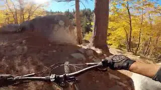 Running Springs - Exploration Trail