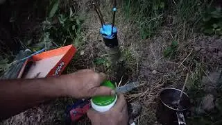Altoire par sub scoarta vara folosind altoi verzi din par dar și altoi ținuți la frigider.