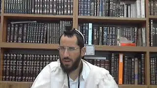 טילטול שופר או לולב בשבת - הרב דוד לנקרי שליט