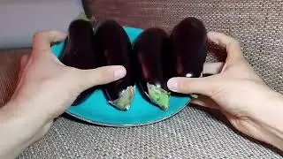 Auberginen 🍆 aufschneiden
