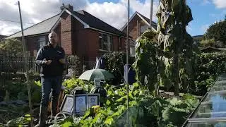 Giant Veg: An Introduction