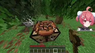 Minecraft the Ender Dragon 1 #Minecraft #minecraftdragons #minecraftdragon #MinecraftAdventure