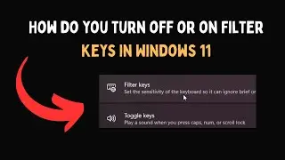 Как отключить или включить фильтрацию ввода в Windows 11